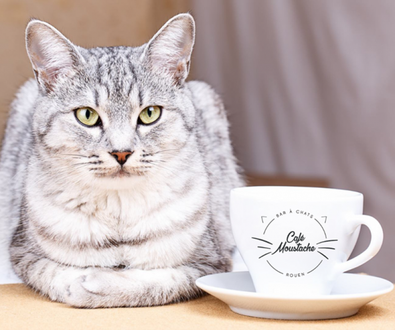 Café moustache Rouen76
